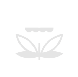 EPA logo